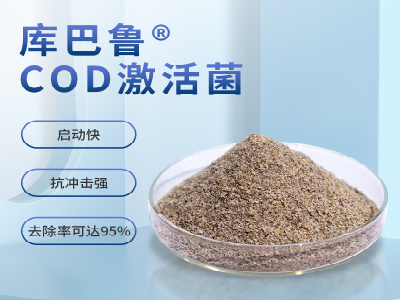 COD提標(biāo)，不改變工藝，生化系統(tǒng)如何維穩(wěn)