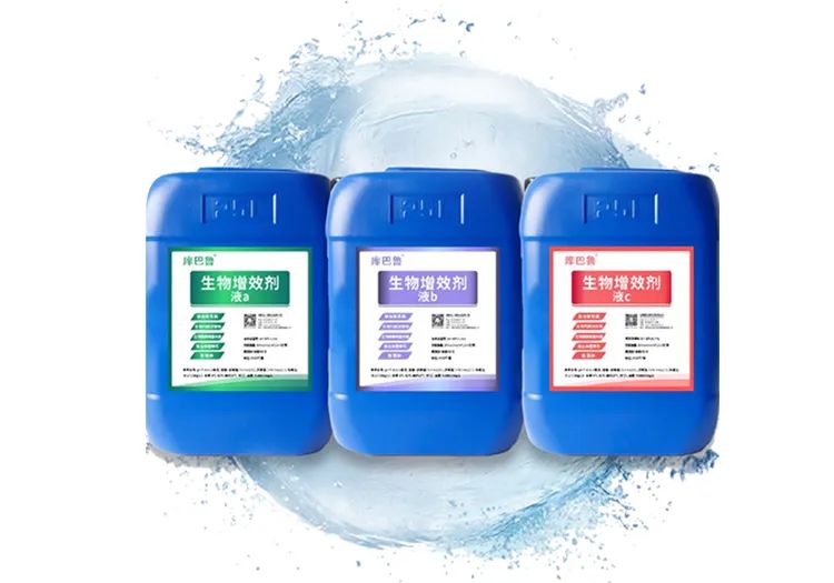 庫(kù)巴魯團(tuán)隊(duì)研發(fā)的生物增效劑（菌）